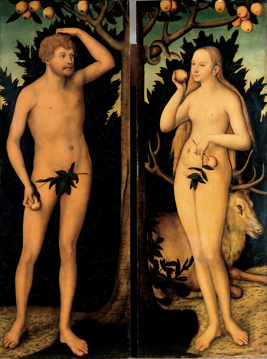 亚当和夏娃 作者 卢卡斯·克拉纳赫（Lucas Cranach）