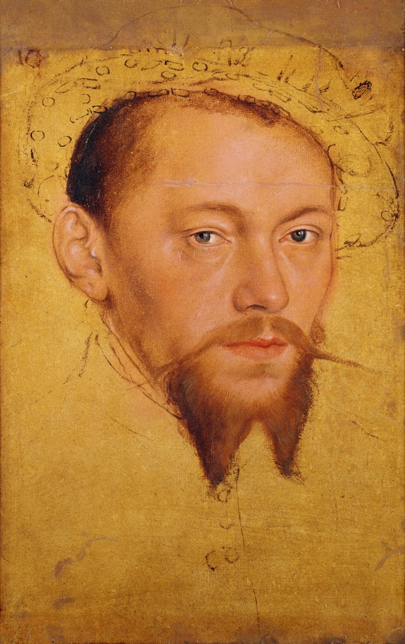 Moritze（1521-53）萨克森公爵，后来选举人（纸上油，水粉和纸） 作者 卢卡斯·克拉纳赫（Lucas Cranach）