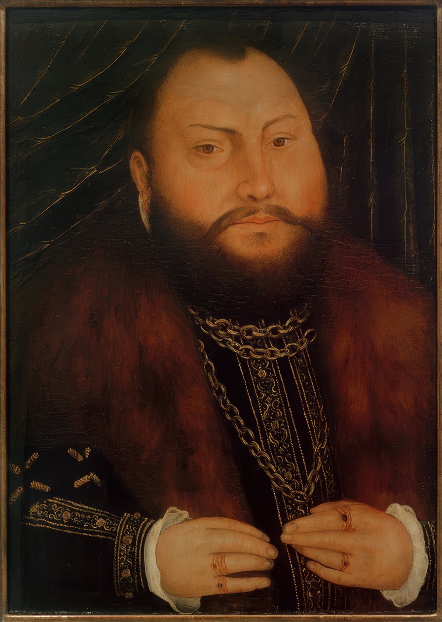 约翰·弗里德里希（Johann Friedrich） 作者 卢卡斯·克拉纳赫（Lucas Cranach）