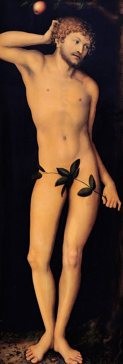 亚当，1528年。 作者 卢卡斯·克拉纳赫