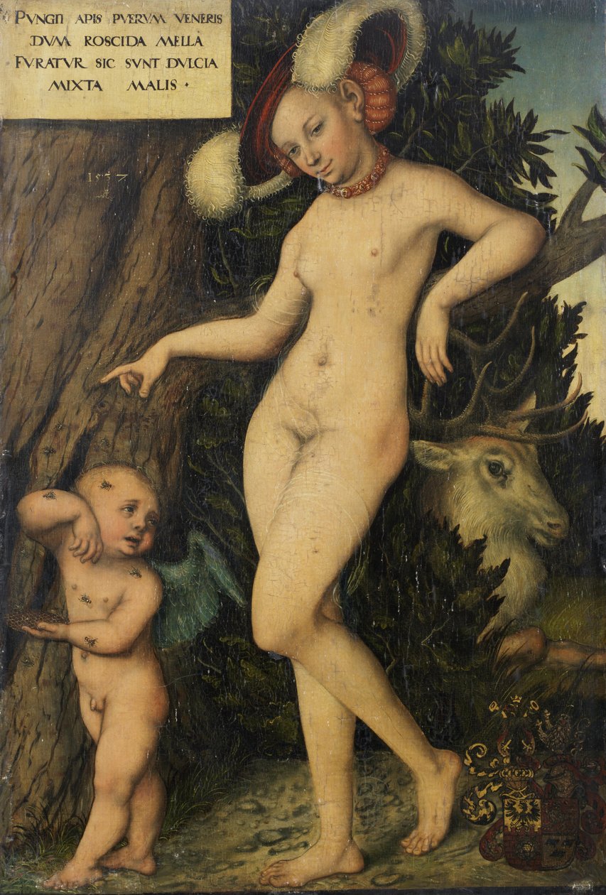 德语：Venus mit Amor als Honigdieb 维纳斯与偷蜜的丘比特 作者 卢卡斯·克拉纳赫