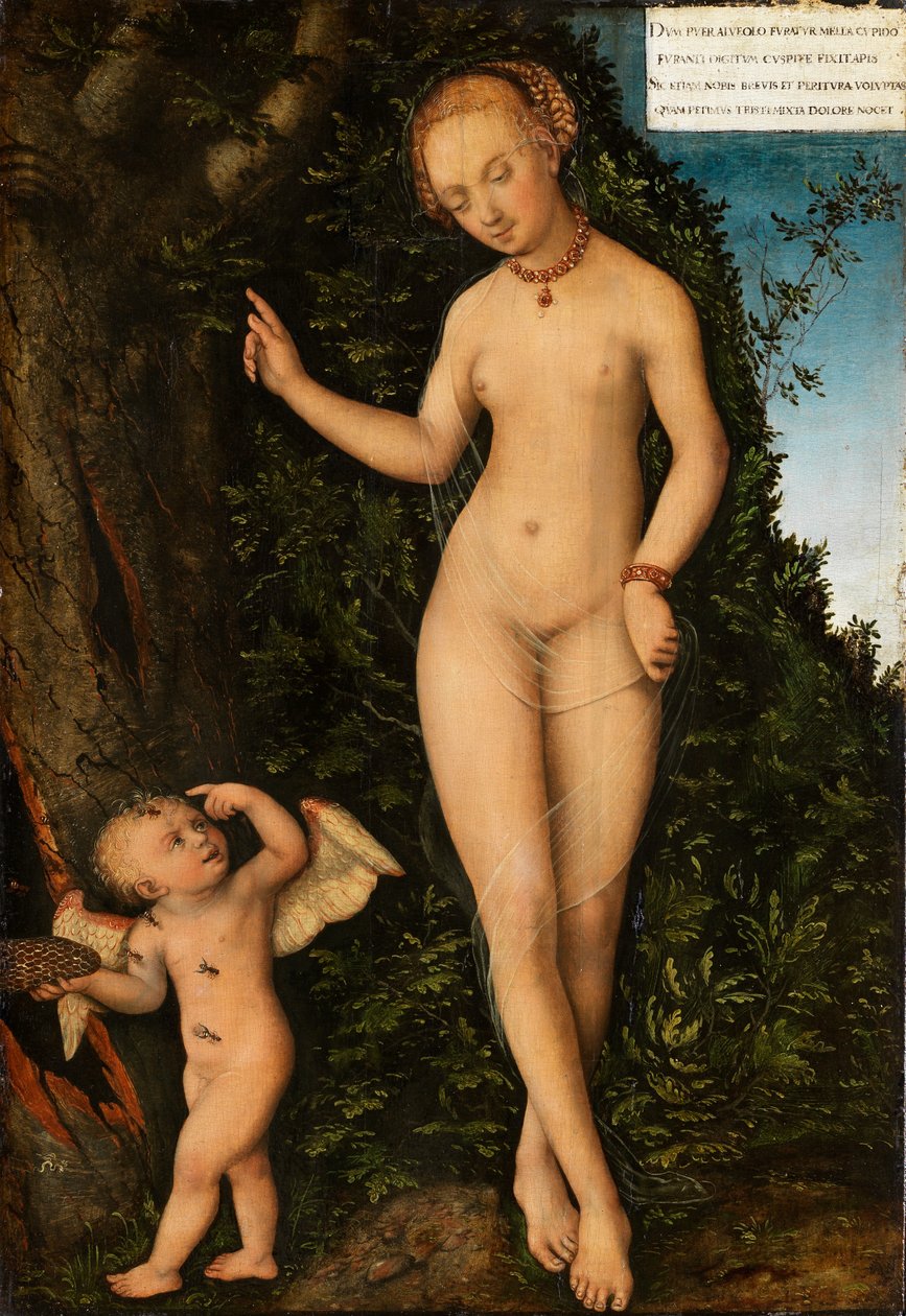 德语：Venus mit Amor als Honigdieb 维纳斯与偷蜜贼丘比特 作者 卢卡斯·克拉纳赫
