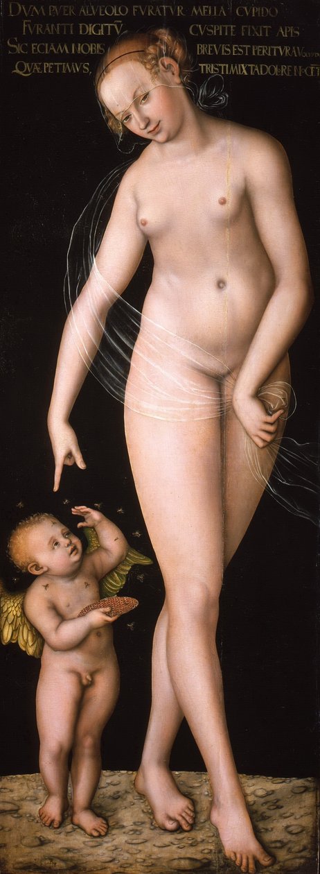 德语：Venus und Amor als Honigdieb 维纳斯与偷蜜的丘比特 作者 卢卡斯·克拉纳赫