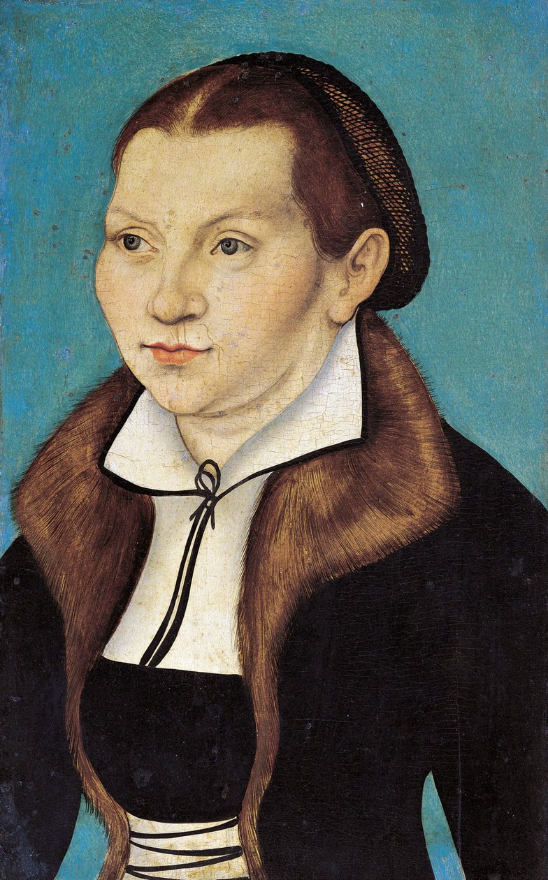 卡塔琳娜-路德，1499-1552年的卡塔琳娜-冯-波拉的肖像，1529年。 作者 卢卡斯·克拉纳赫