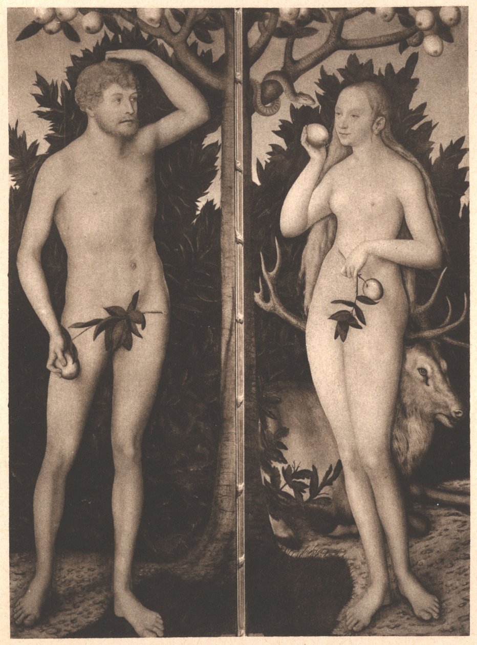 亚当和夏娃 作者 卢卡斯·克拉纳赫（Lucas Cranach）