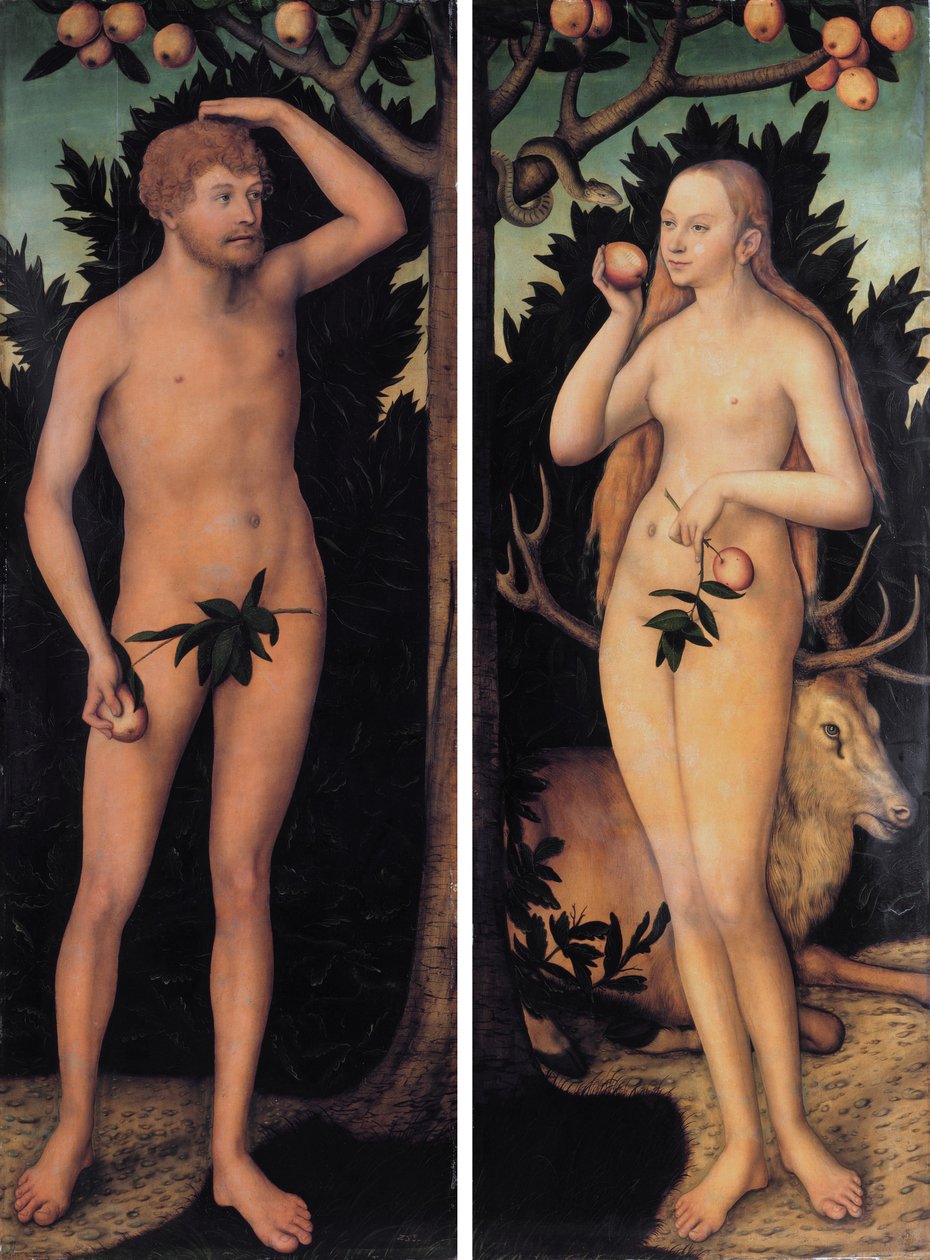 亚当和夏娃 作者 卢卡斯·克拉纳赫（Lucas Cranach）