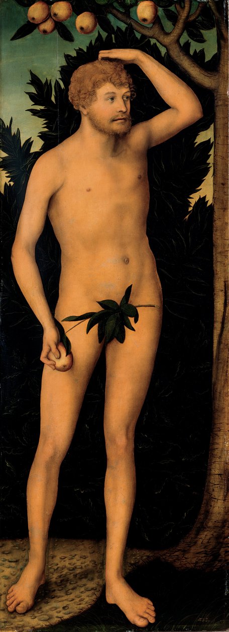 亚当和夏娃 作者 卢卡斯·克拉纳赫（Lucas Cranach）