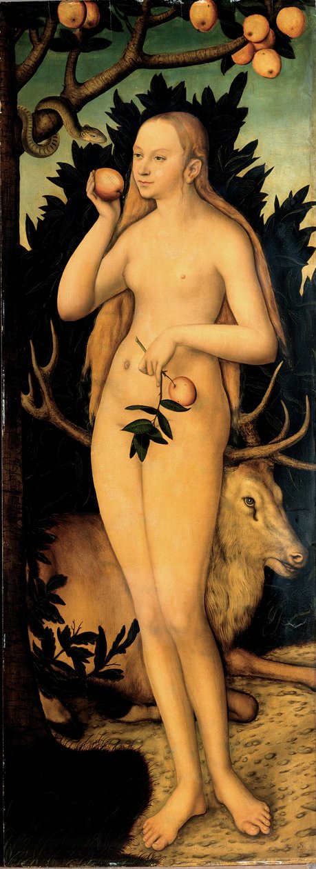 亚当和夏娃 作者 卢卡斯·克拉纳赫（Lucas Cranach）