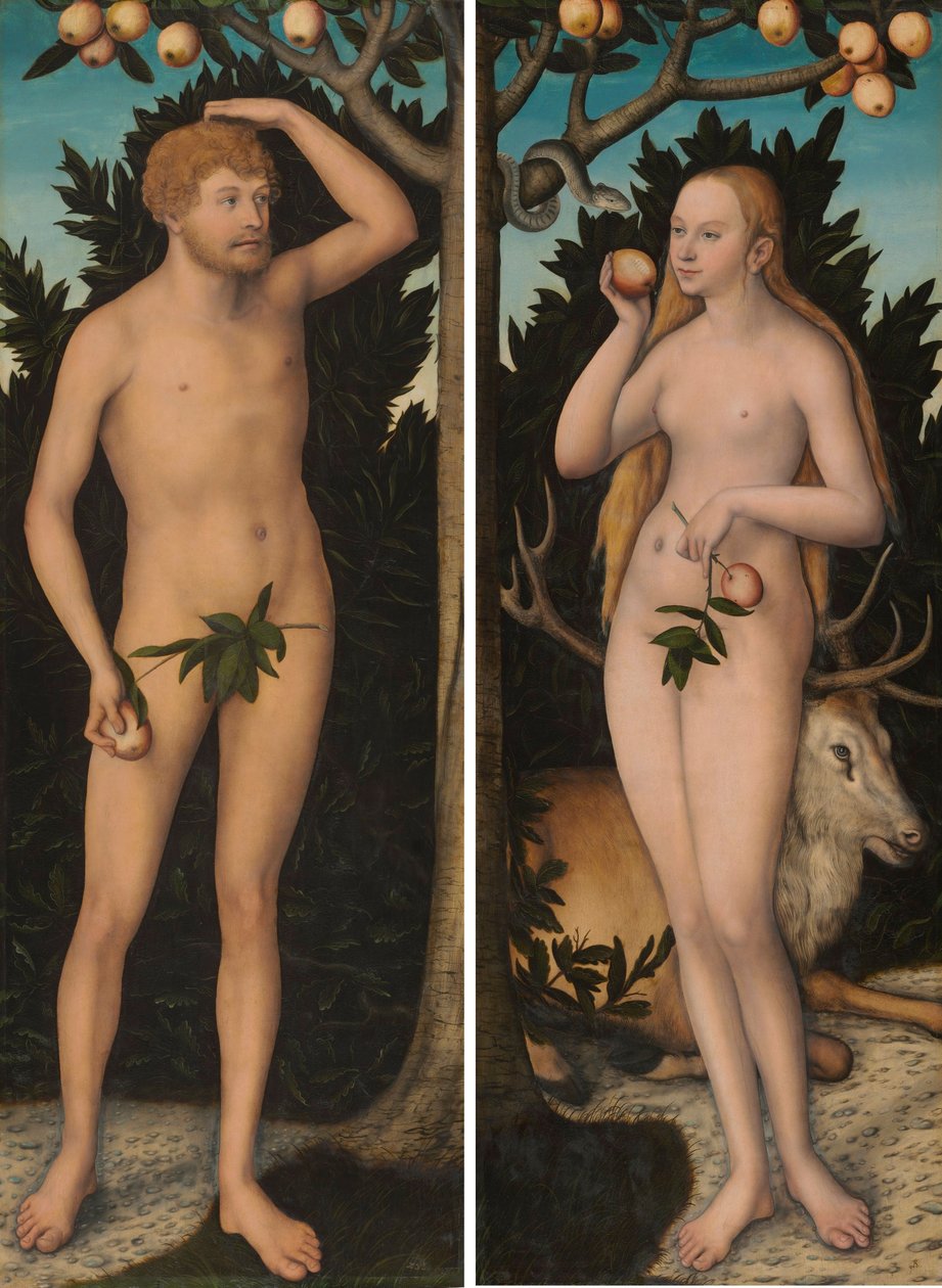 亚当和夏娃 作者 卢卡斯·克拉纳赫（Lucas Cranach）
