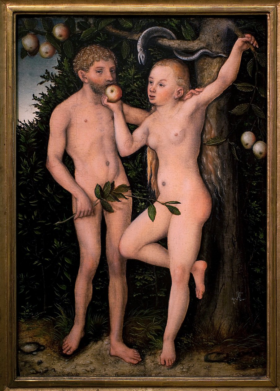 亚当和夏娃。 卢卡斯·克拉纳赫 (Lucas Cranach) 前者（1472-1553 年）的画作，大约 1538 年。16 世纪佛兰芒艺术。 国家美术馆，斯腾堡宫，布拉格（捷克共和国）。 作者 老卢卡斯·克拉纳赫