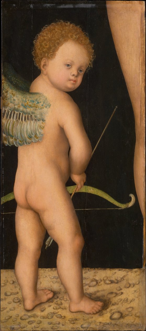 Amour - Amor，由 Cranach, Lucas, the Elder (1472-1553) 所著。 木头油彩，约 1530 年。尺寸：81x36 厘米。 维也纳艺术史博物馆 作者 老卢卡斯·克拉纳赫