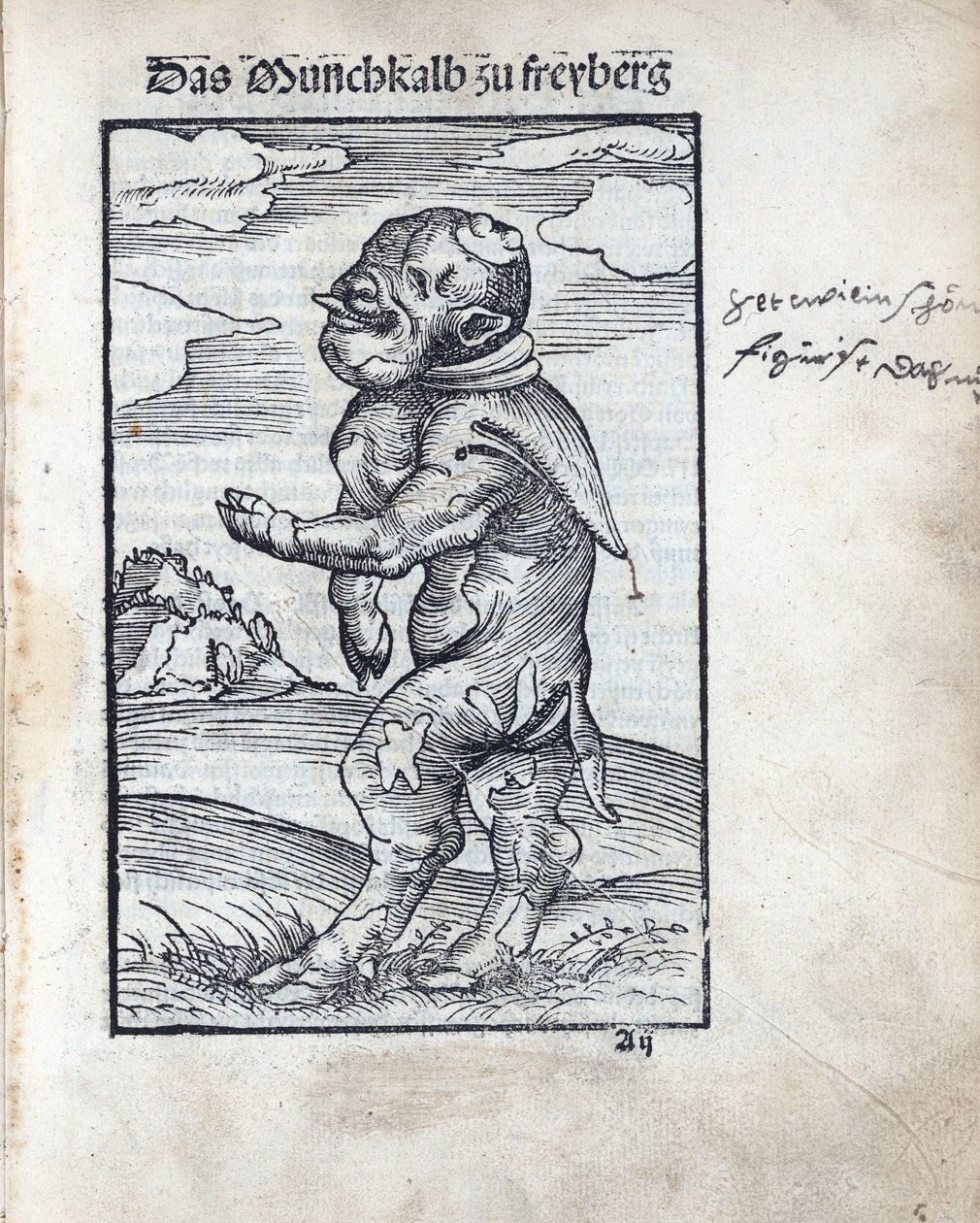 弗赖贝格的僧侣小牛（Das Moenchskalb zu Freiberg），由克拉纳赫，卢卡斯，长者（1472-1553）创作。木刻 作者 老卢卡斯·克拉纳赫