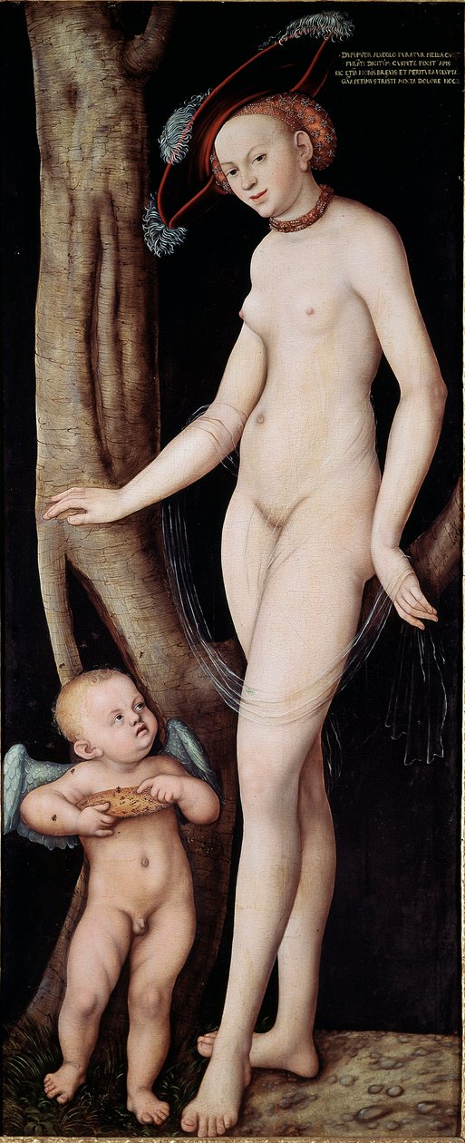 老卢卡斯·克拉纳赫 (Lucas Cranach the Elder) 的维纳斯和丘比特（阿佛洛狄忒和爱神）绘画 (1472 - 1553) 作者 老卢卡斯·克拉纳赫
