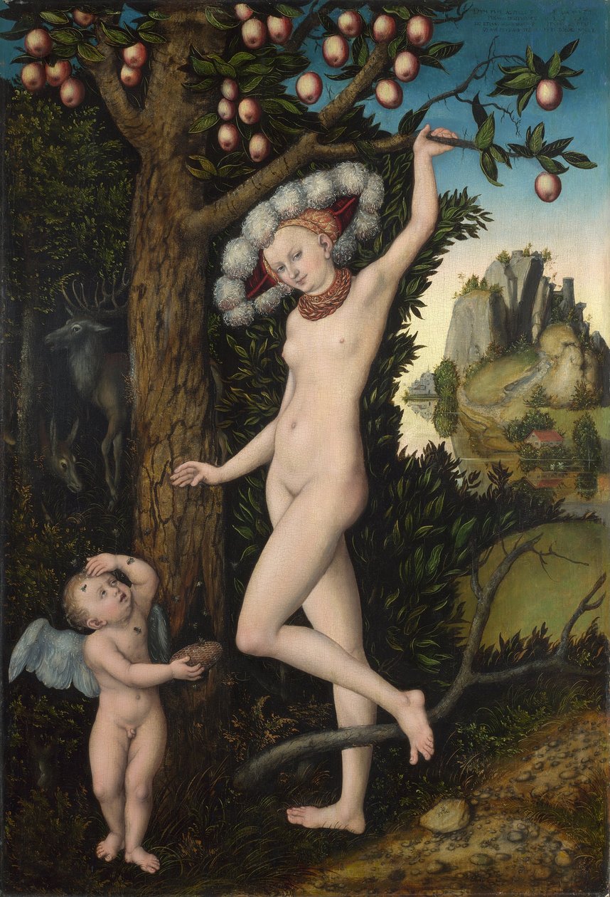 Venus and Cupid, c.1525 (oil on wood) 作者 老卢卡斯·克拉纳赫