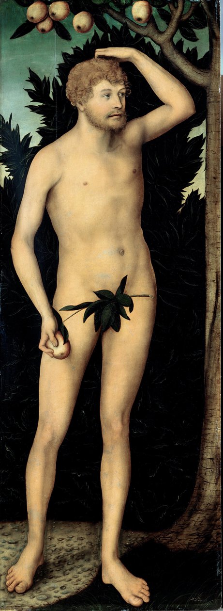 "亚当》 年轻的卢卡斯-克拉纳赫二世（1515-1586 年）的画作 1537 年之后 尺寸 171 x 63 厘米 德国 德累斯顿国家艺术收藏馆 作者 卢卡斯·小克拉纳赫