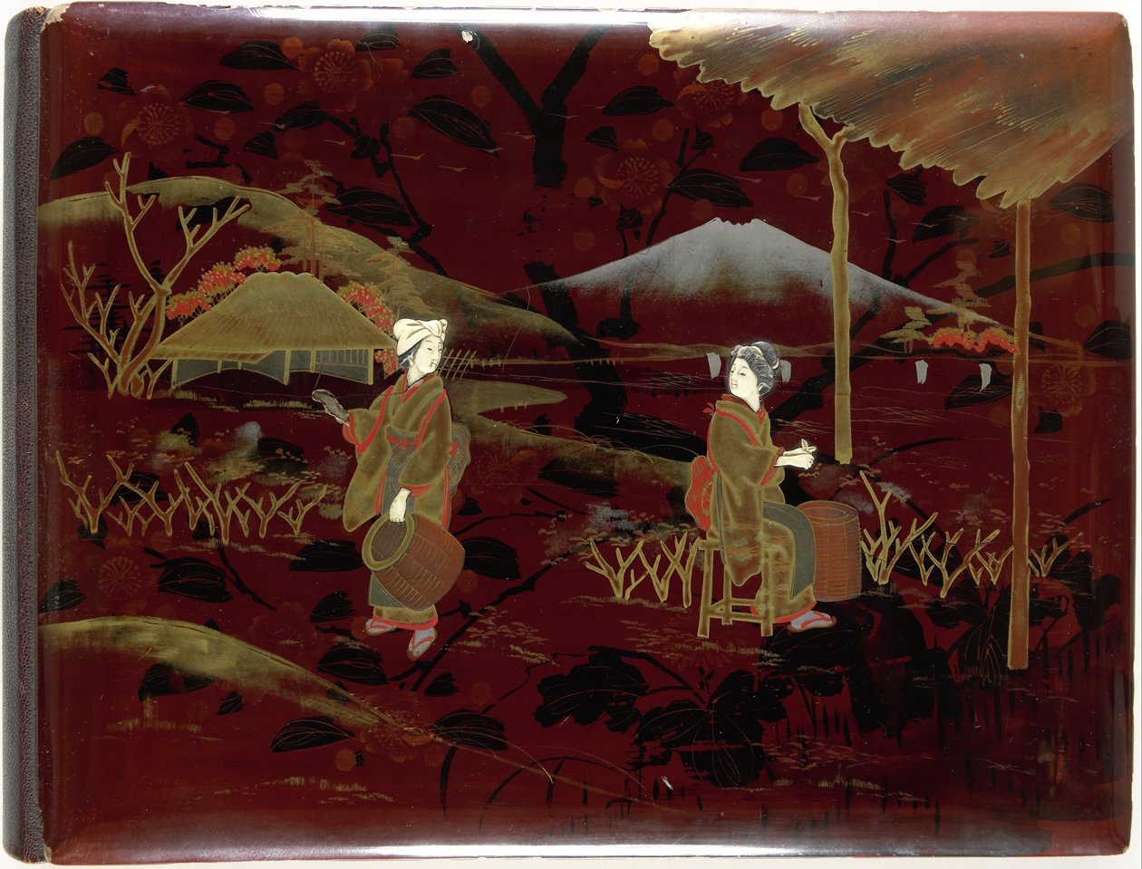 露西-桑德尔的相册，约 1903-1907 年 作者 露西·桑德尔