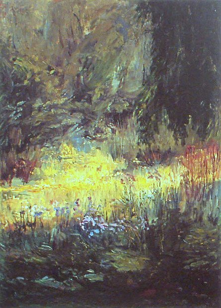 FrancenPortugues的春天：Primavera na Francan 作者 露西里奥·德·阿尔伯克基