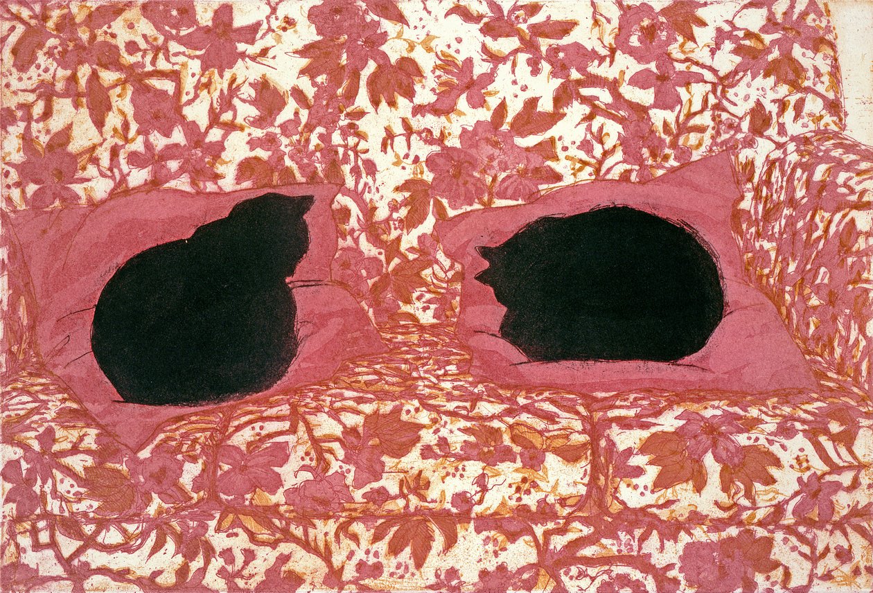 猫，1988年（纸上蚀刻） 作者 露西·威利斯