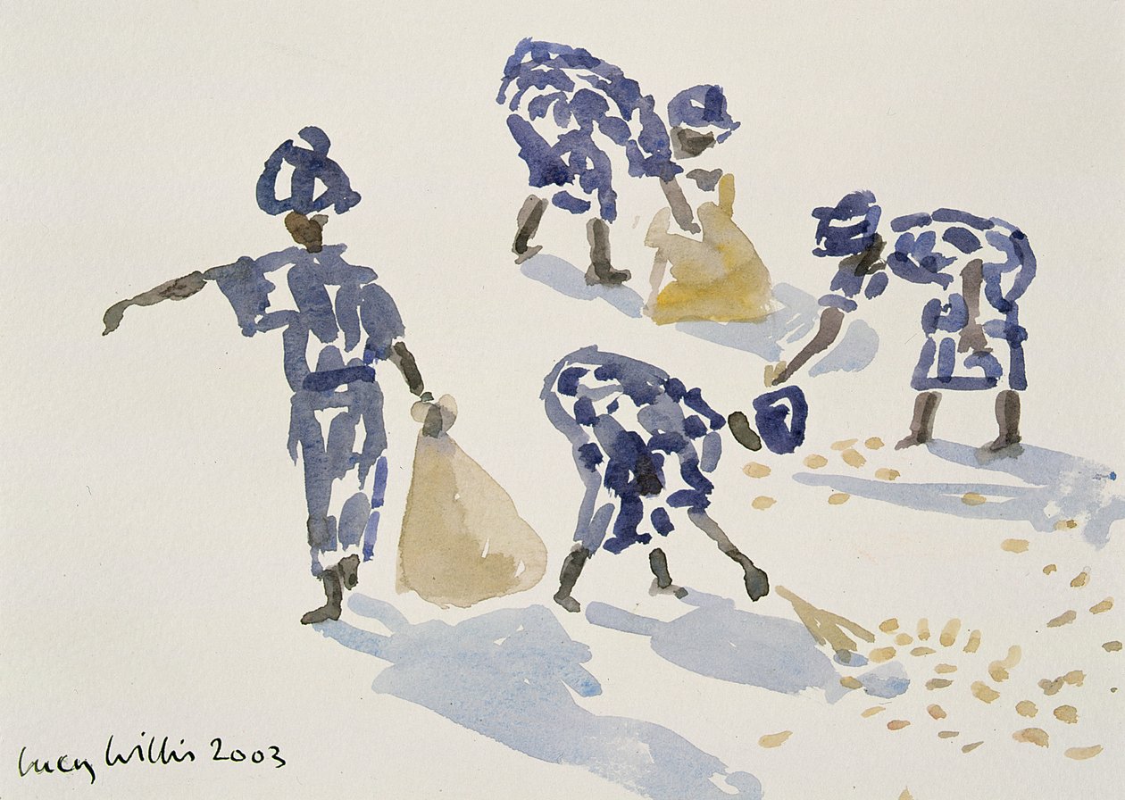 清除叶子，塞内加尔，2003年（纸上wc） 作者 露西·威利斯