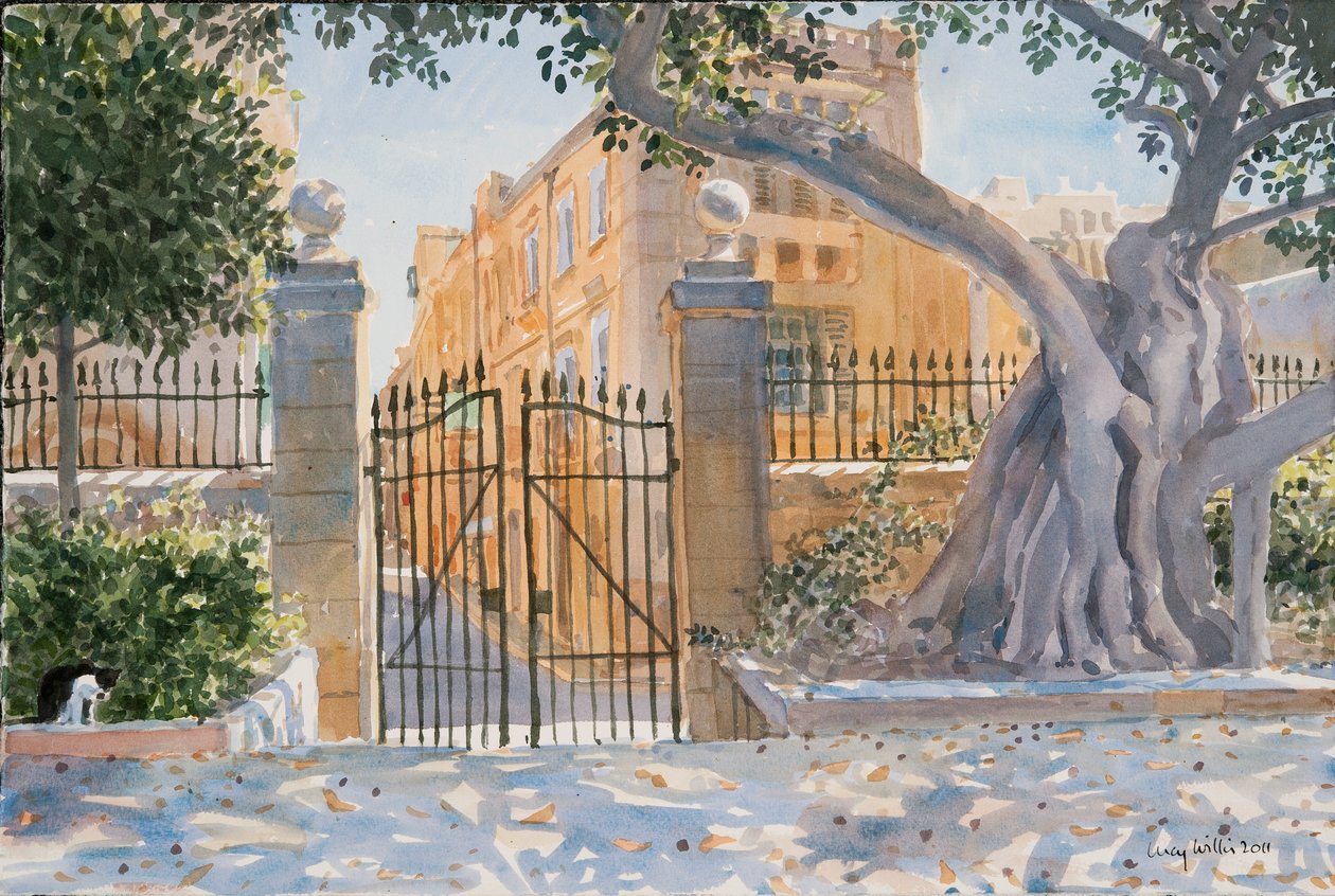 古树，2011 作者 露西·威利斯