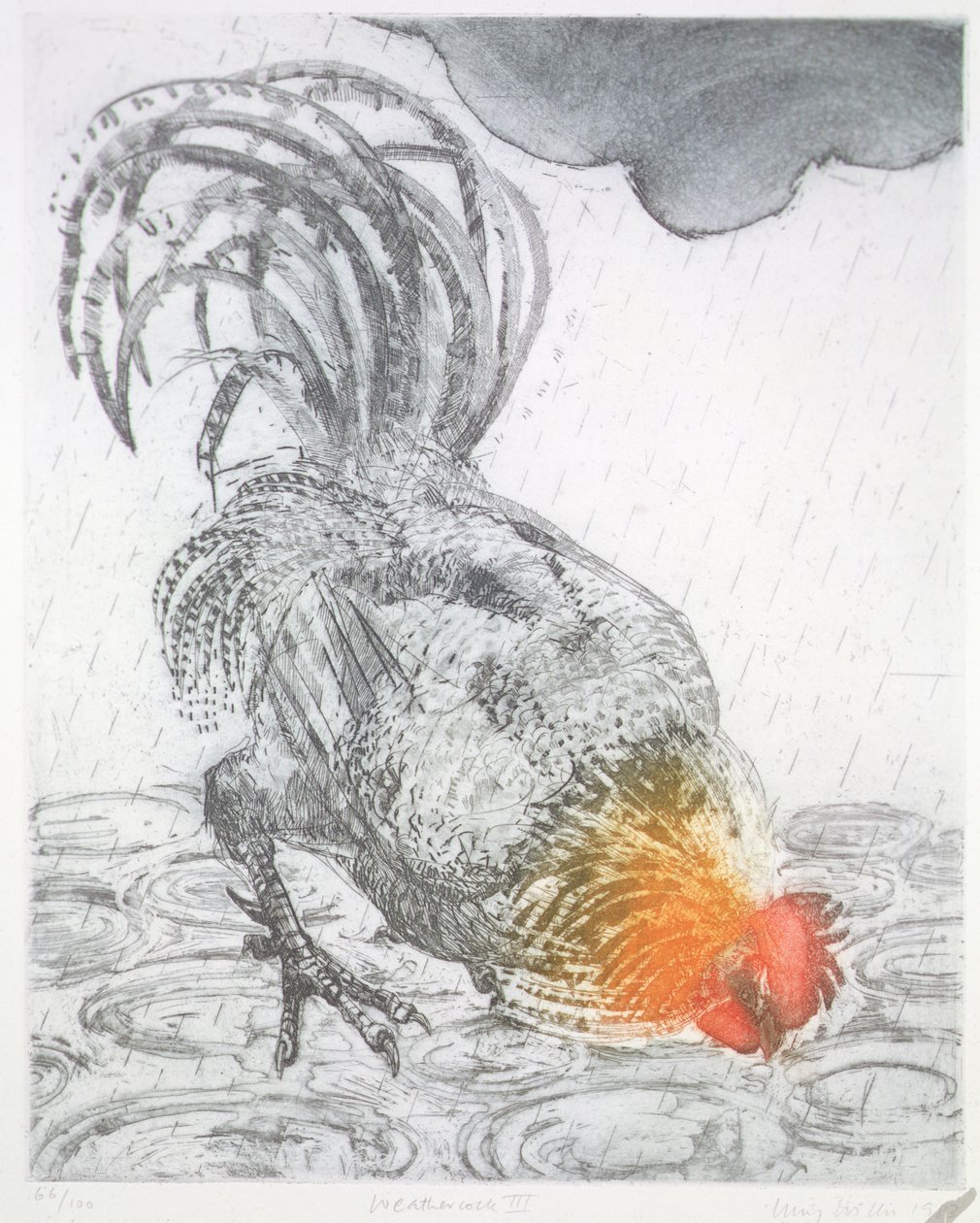 Weathercock II，1983年（纸上蚀刻） 作者 露西·威利斯