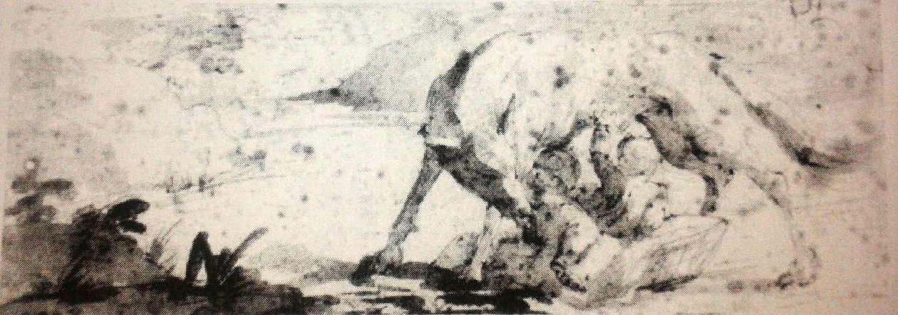 Romulus和Remus由狼来养育 作者 卢多维科·卡拉奇（Ludovico Carracci）