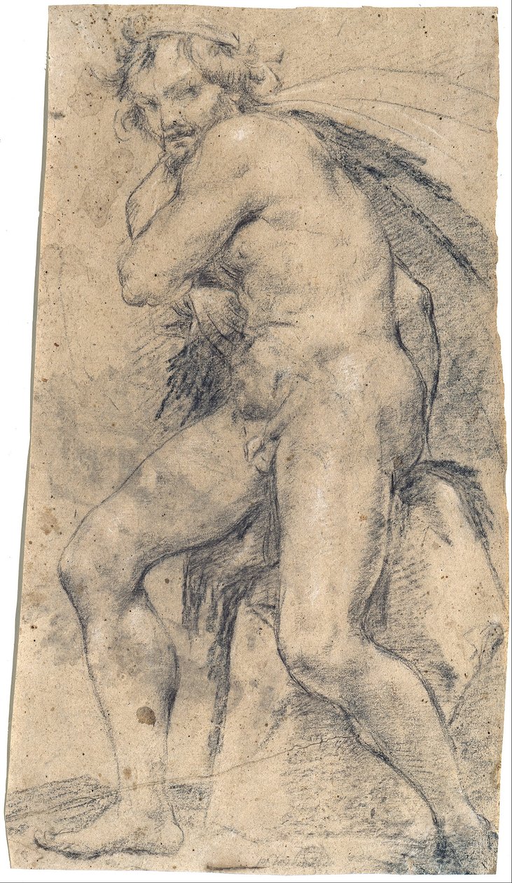 男性裸体（赫拉克勒斯？） 作者 卢多维科·卡拉奇（Ludovico Carracci）