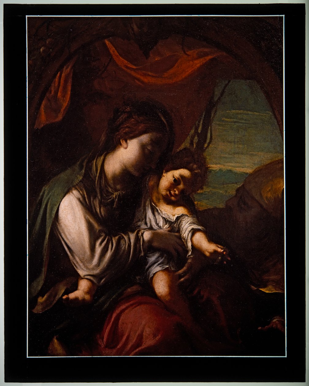 圣母子与圣安东尼-阿博特（镶板） 作者 卢多维科·卡拉奇（Ludovico Carracci）