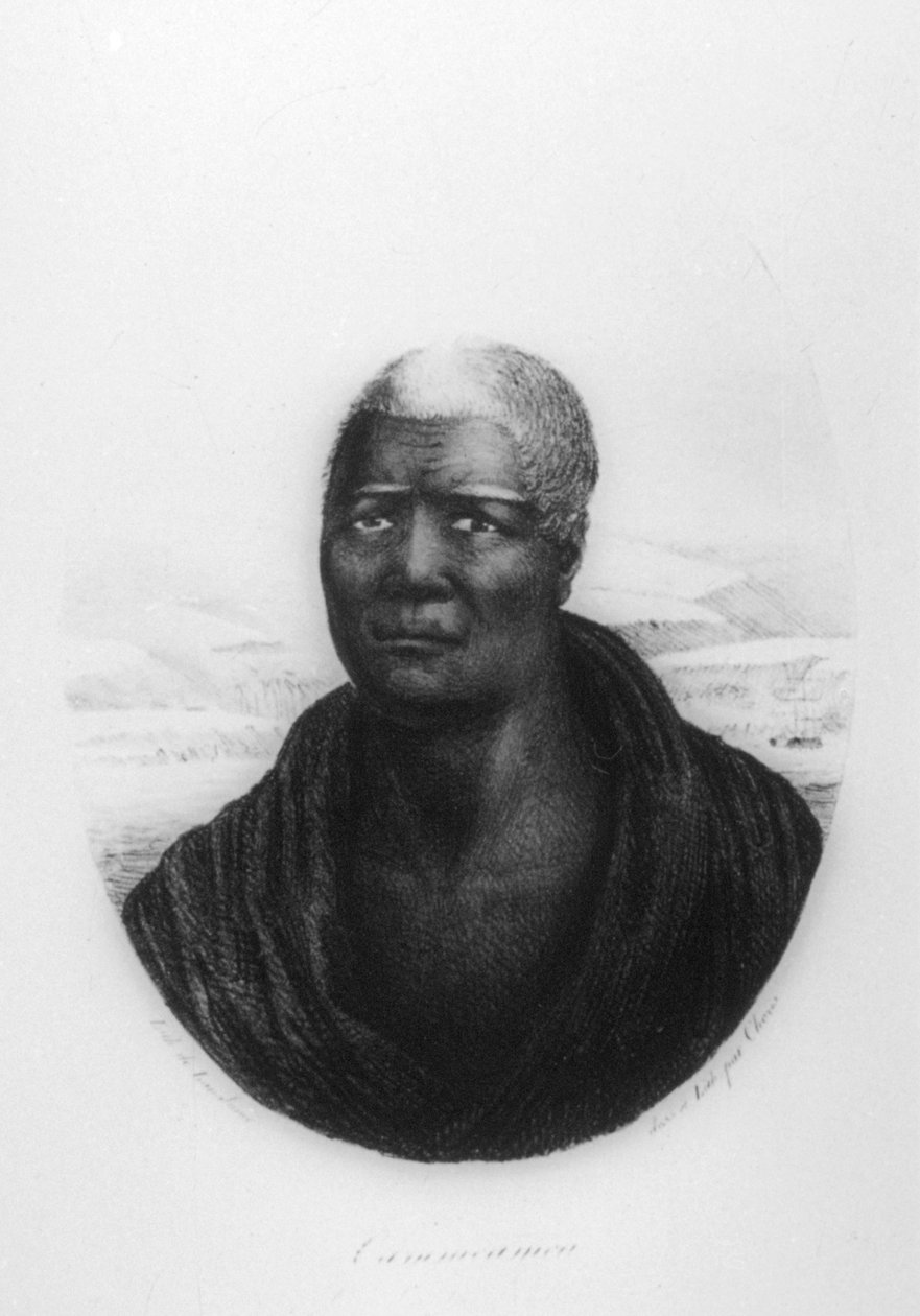 夏威夷卡美哈美哈一世，1816年 作者 路德维希·克里斯（Ludwig Choris）