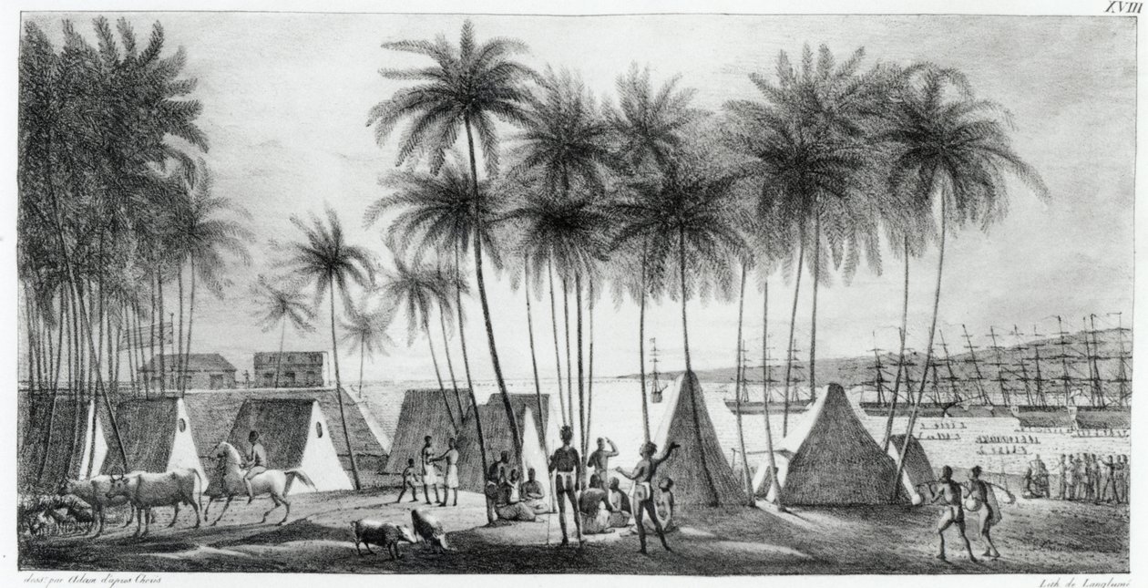 来自“环游世界”的三明治群岛的Hanarourou港口，由G. Langlume（1822-40）1822年刻。 作者 路德维希·克里斯（Ludwig Choris）