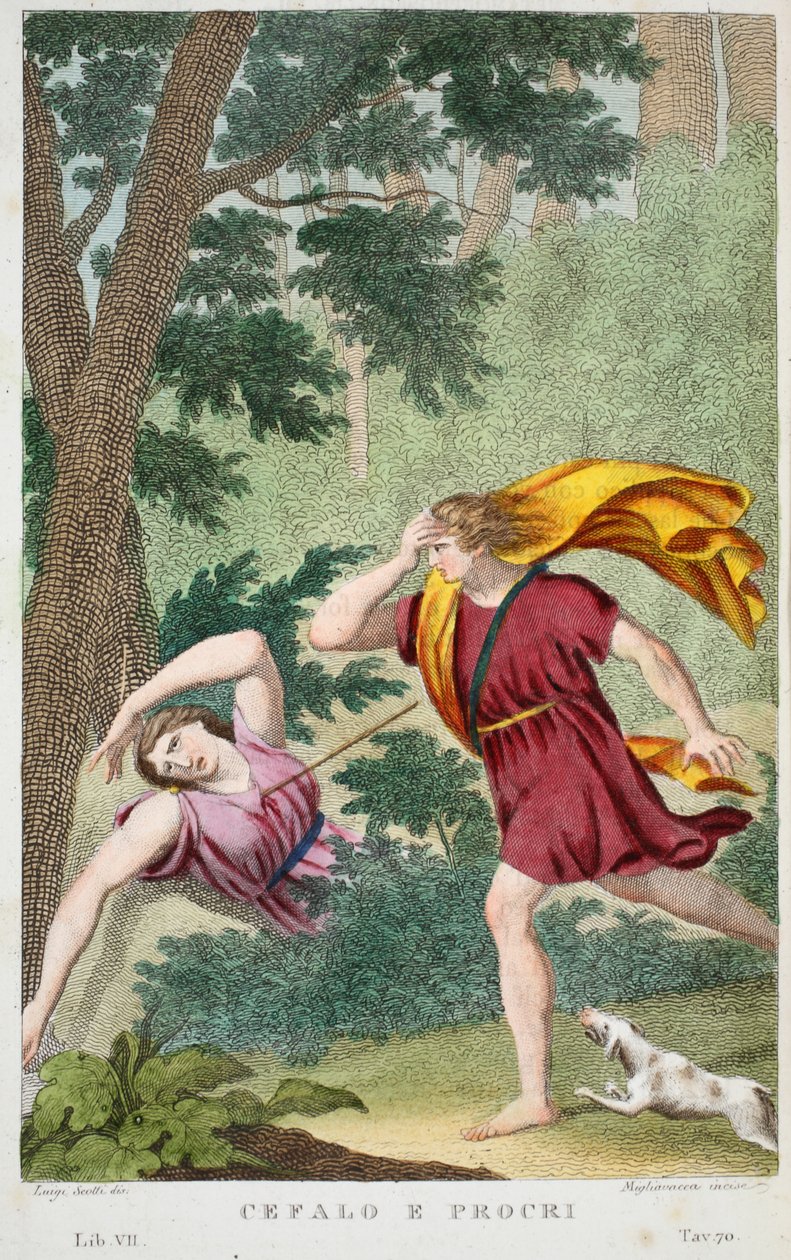 Cephalus和Procris或Cefalo e Procri，第七册，插图来自Ovid&39;s Metamorphoses，佛罗伦萨，1832年（手工彩色雕刻） 作者 路易吉·阿德莫洛