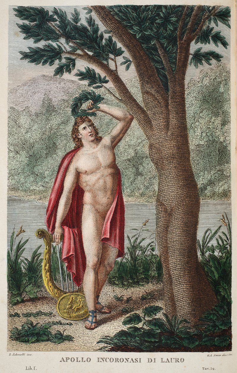 达芙妮进入月桂树或Apollo Incoronasi de Lauro，插图来自奥维德的变形金刚，佛罗伦萨，1832年（手工彩色雕刻） 作者 路易吉·阿德莫洛