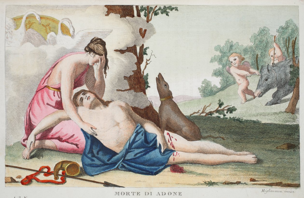 Adonis或Morte di Adone的死亡，书X，奥维德的变形记的插图，佛罗伦萨，1832年（手工彩色雕刻） 作者 路易吉·阿德莫洛