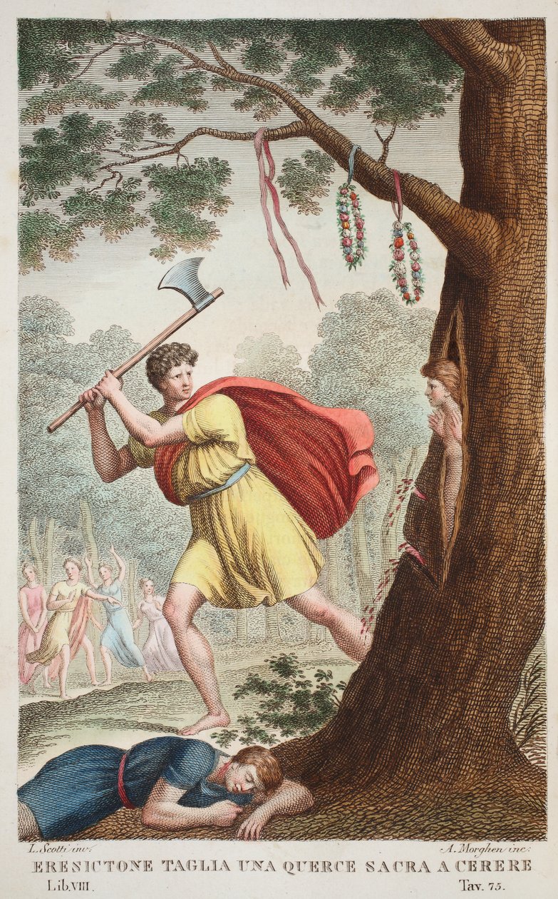 Erysichthon的骄傲或Eresictone Taglia una Querce sacra Cerere，Book VIII，插图来自奥维德的变形记，佛罗伦萨，1832年（手工雕刻） 作者 路易吉·阿德莫洛