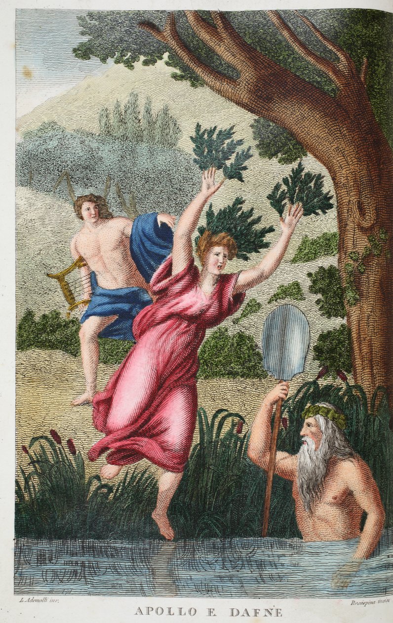 Phoebus和Daphne或Apollo e Dafne，奥维德的变形记的插图，佛罗伦萨，1832年（手工彩色雕刻） 作者 路易吉·阿德莫洛