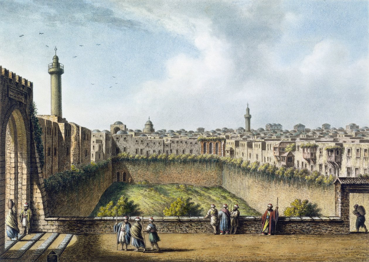 贝塞斯达池，耶路撒冷，酒吧。作者：William Watts，1801 作者 路易吉·梅耶（Luigi Mayer）