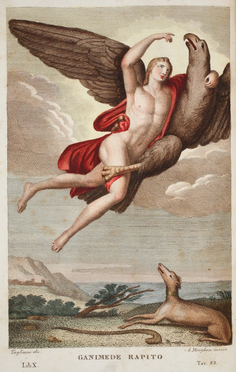Ganymede进入天堂或Ganimede Rapito，书籍X，插图来自Ovid的Metamorphoses，佛罗伦萨，1832年（手工彩色雕刻） 作者 路易吉·阿德莫洛