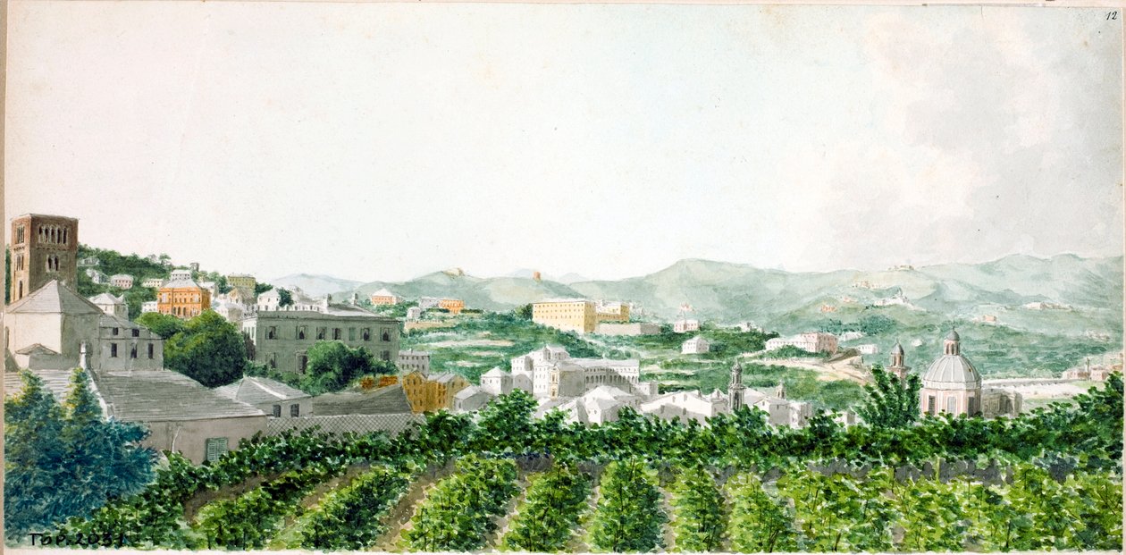 从圣斯特凡诺钟楼俯瞰热那亚市（水彩画，约 1825 年） 作者 路易吉·加里波