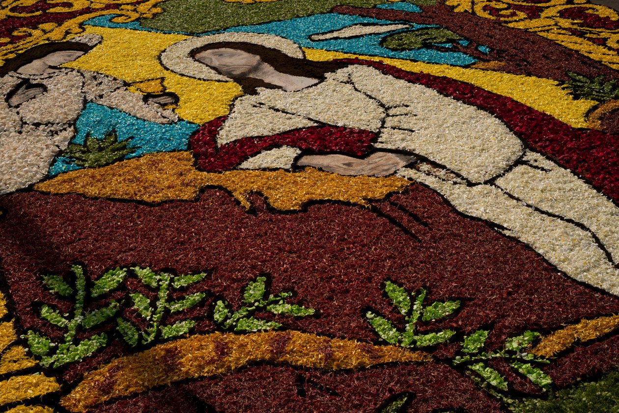 圣周苏尔科花毯，利马，秘鲁，2015。 作者 路易斯·罗森多。