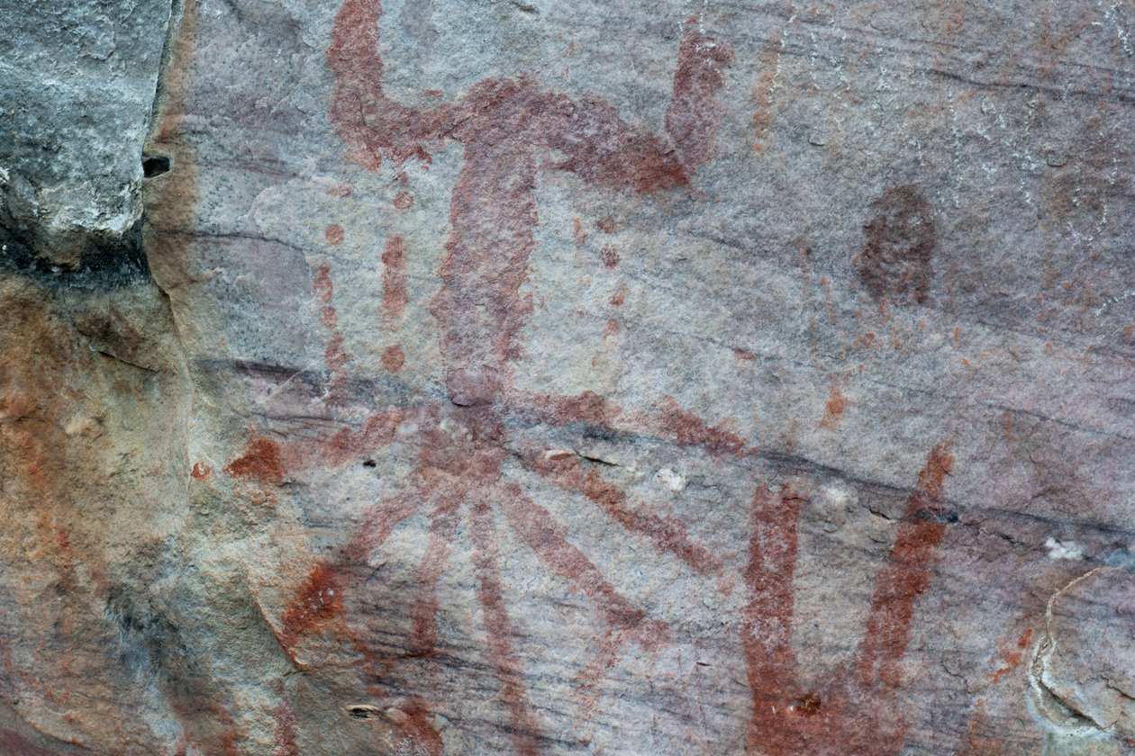 画像，Faical，San Ignacio，Cajamarca，秘鲁，2015。 作者 路易斯·罗森多。