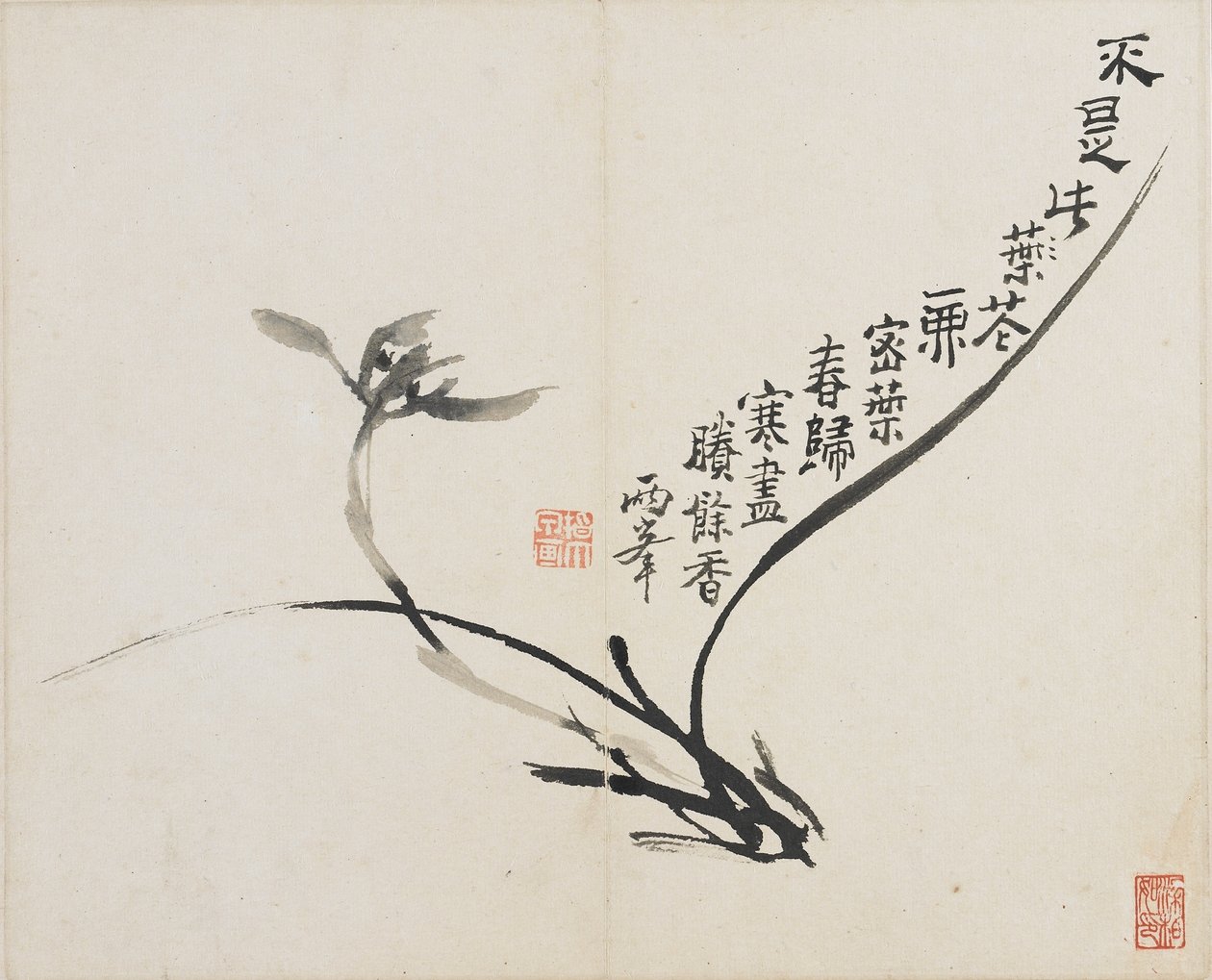 风景，花卉和鸟类：清代兰花，1780年（纸上墨水） 作者 罗平