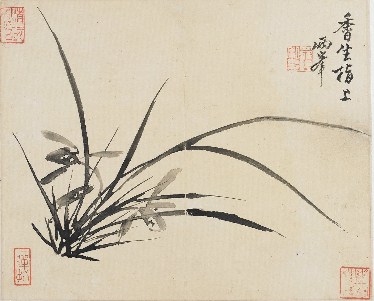 风景，花卉和鸟类：清代兰花，1780年（纸上墨水） 作者 罗平