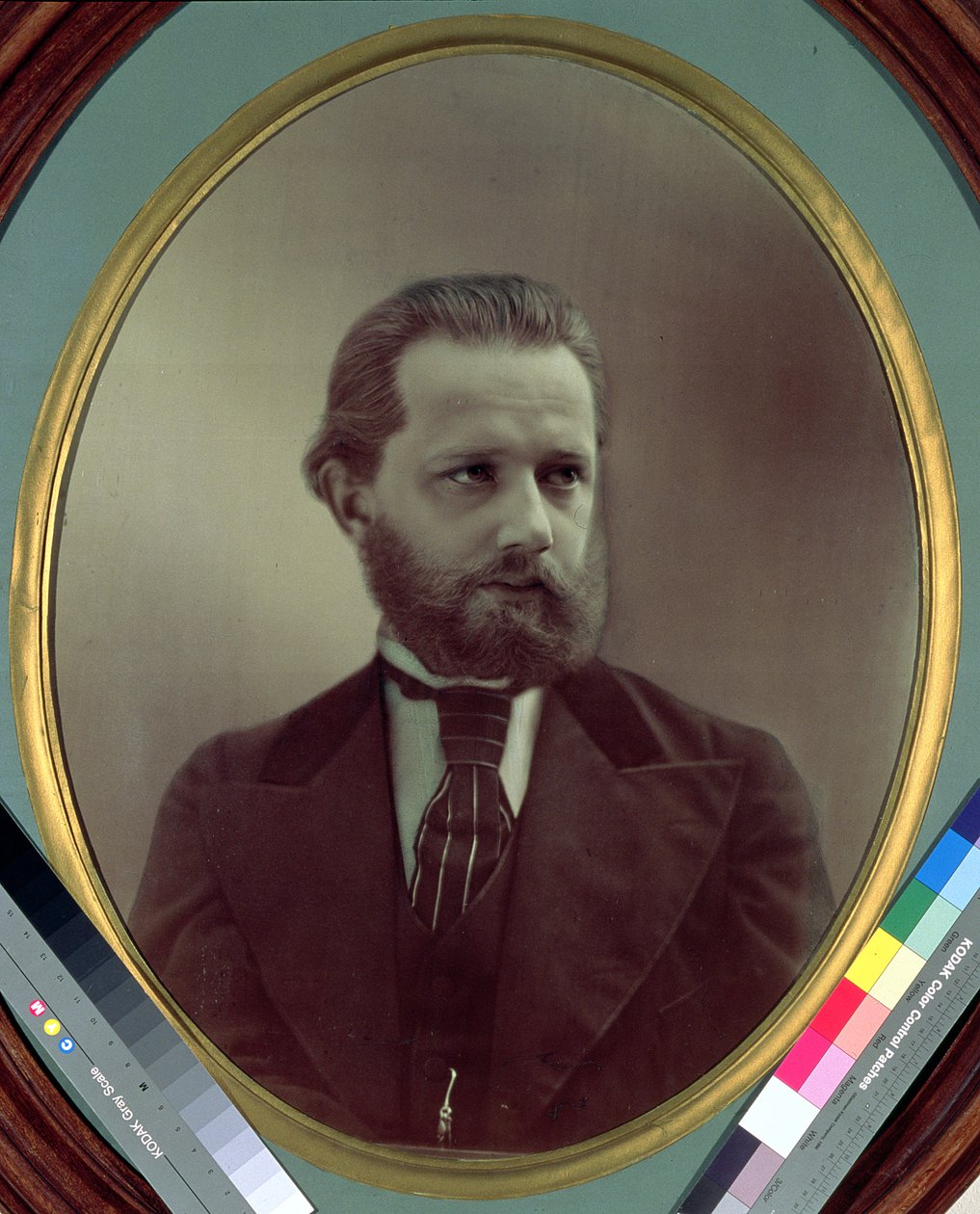 Piotr Ilyich Tchaikovsky（1840-93）1860 作者 潘诺夫
