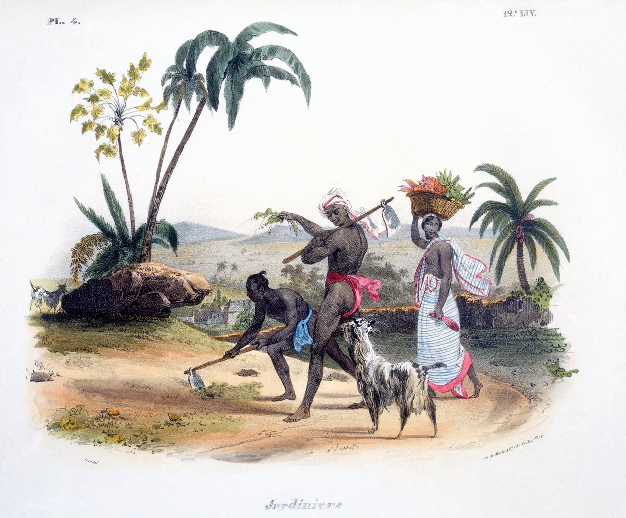 园丁种植蔬菜，1827-35 作者 我本努夫