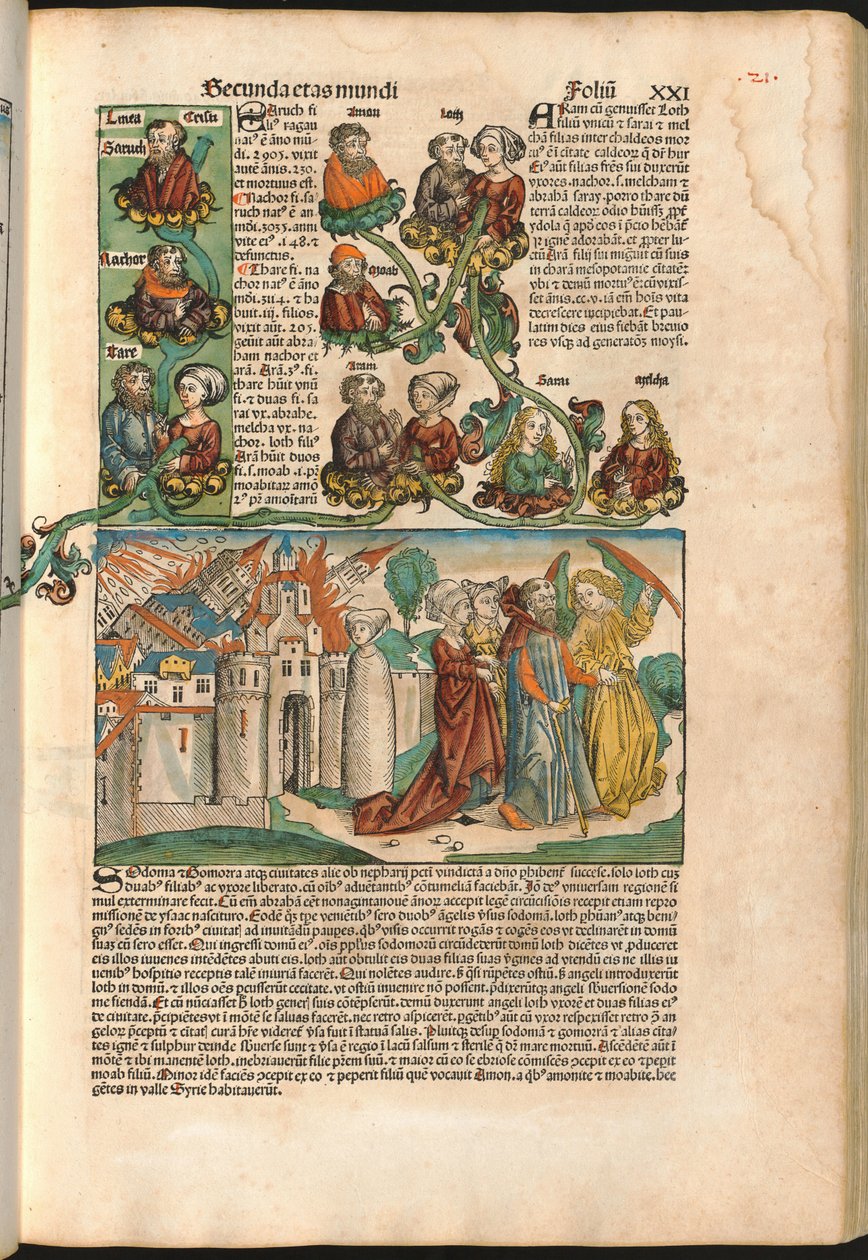 拉班的家谱，来自哈特曼·舍德尔（Hartmann Schedel，1440-1514 年）于 1493 年印刷的《纽伦堡编年史》（木刻） 作者 M. 和 Pleydenwurff W. Wolgemuth