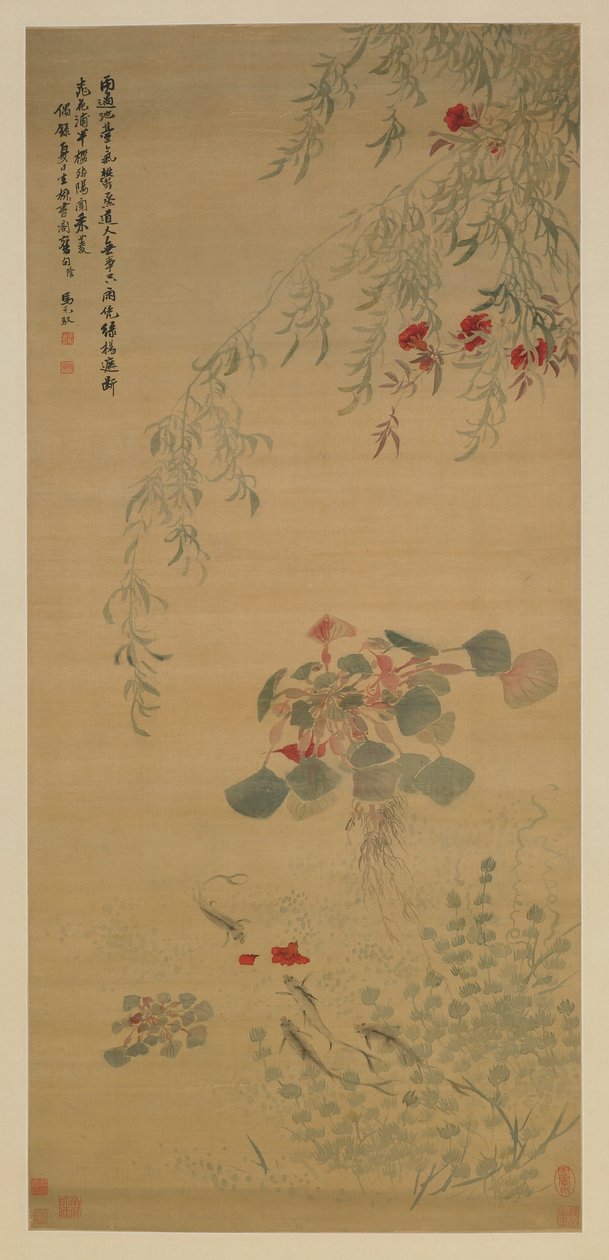 落花，好奇鱼，清代，18世纪初（丝绸上的颜色） 作者 马元玉