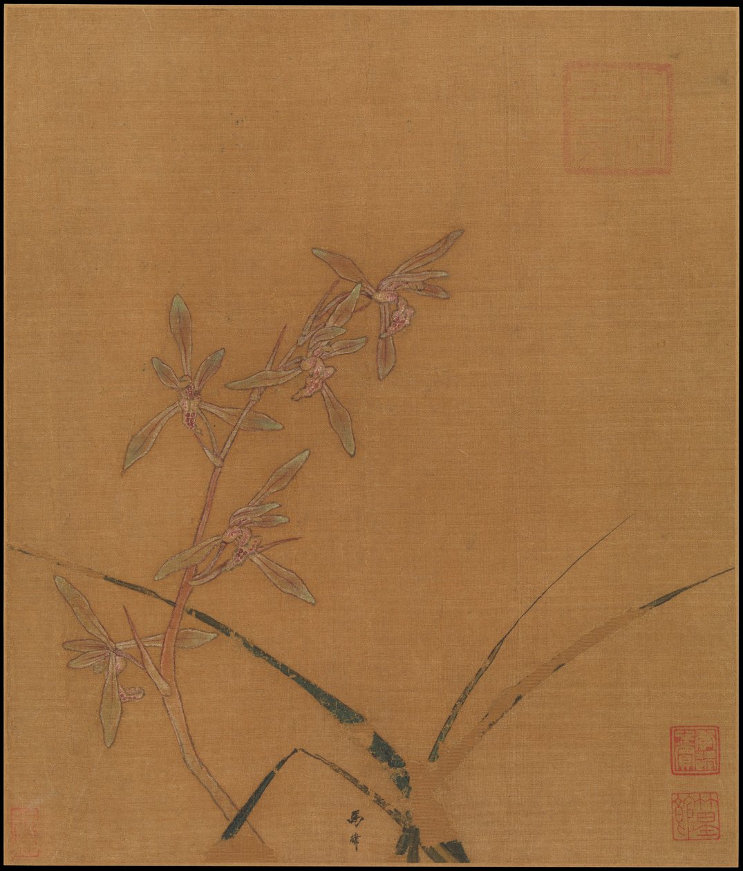兰花，13世纪的第二季度。 作者 马琳
