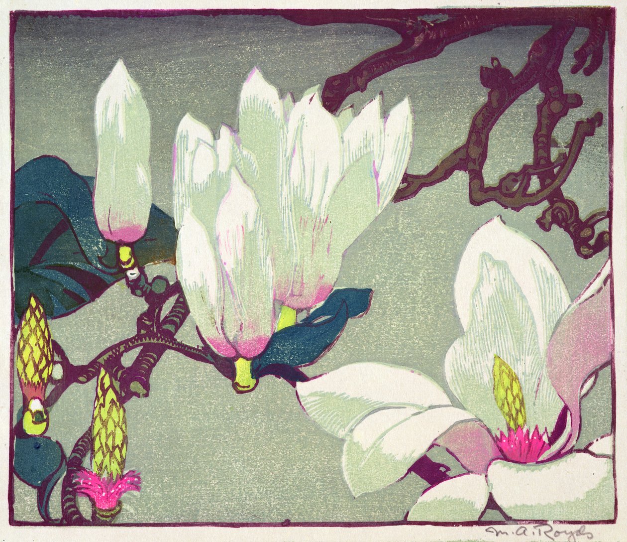 Magnolia，c.1925（木版画） 作者 梅贝尔·罗伊兹（Mabel Royds）
