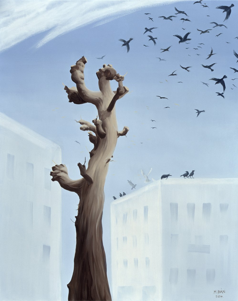 惊愕，2004年 作者 玛格朵娜·班（Magdolna Ban）
