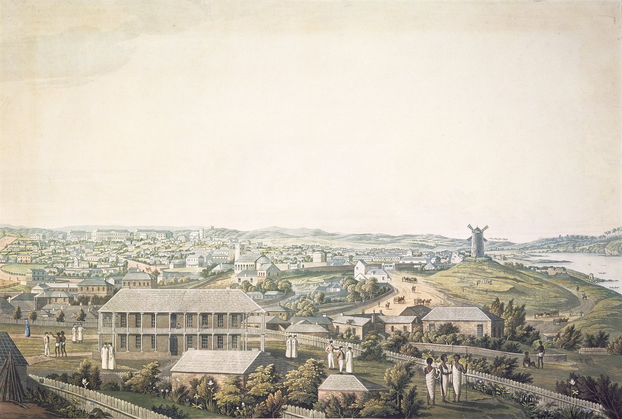 新南威尔士州悉尼市中心区全景，1821年（aquatint） 作者 詹姆斯·泰勒少校